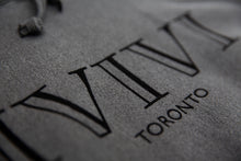 Load image into Gallery viewer, IVIVI Logo Hoodie - Cotton Distressed Charcoal